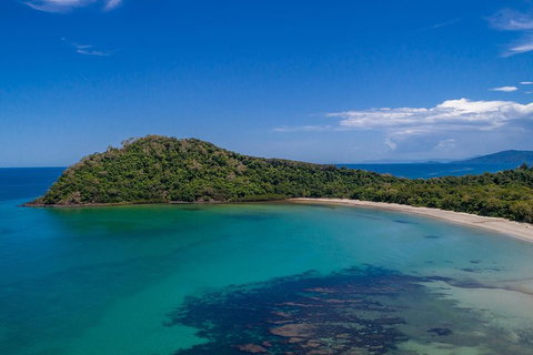 Daintree And Cape Tribulation Tour From Cairns - Sunshine Coast Tourism 4