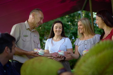 Daintree And Cape Tribulation Tour From Cairns - Sunshine Coast Tourism 5