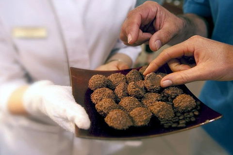 Explore Adelaide City Tour: Haigh's Tasting Chocolate & Adelaide Oval Tour - Holiday Sunshine Coast 2