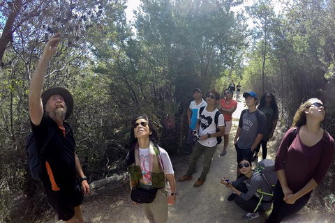 Active Day Tour One-Way From Launceston To Hobart Via Wineglass Bay - Holiday Sunshine Coast 0