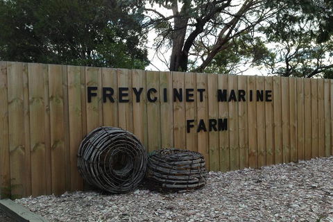 Active Day Tour One-Way From Launceston To Hobart Via Wineglass Bay - Holiday Sunshine Coast 3