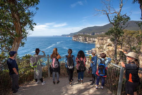 Historic Port Arthur Day Trip From Hobart Including Cliff-Top Walk To Waterfall Bay - Sunshine Coast Tourism 0