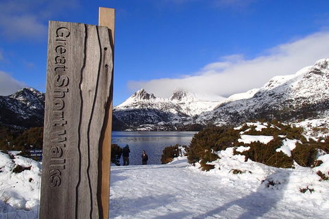 Cradle Mountain Active Day Trip From Launceston - Sunshine Coast Tourism 3