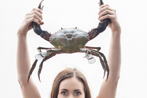 The Ultimate Gold Coast Attractions Pass - Holiday Sunshine Coast 0