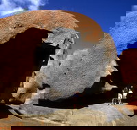 Full-Day Kangaroo Island Safari from Penneshaw - Holiday Sunshine Coast