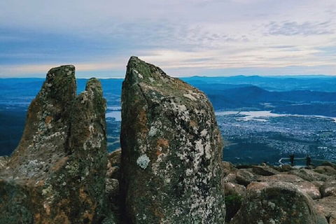Mt Wellington Tour And MONA Admission - Sunshine Coast Tourism 2