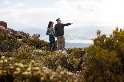 Mt Wellington Tour And MONA Admission - Sunshine Coast Tourism 5