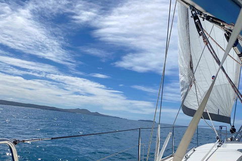 Sailing Curlew Escape On Moreton Bay - Sunshine Coast Tourism 4
