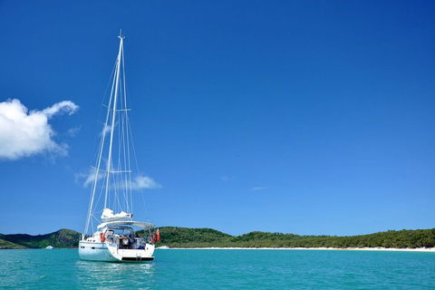 Sailing Curlew Escape On Moreton Bay - Sunshine Coast Tourism 5