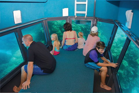 Great Barrier Reef Adventure From Cairns - Holiday Sunshine Coast 1