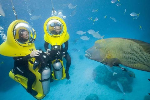 Great Barrier Reef Adventure From Cairns - Holiday Sunshine Coast 2