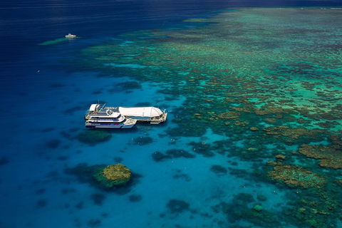 Great Barrier Reef Adventure From Cairns - Holiday Sunshine Coast 4