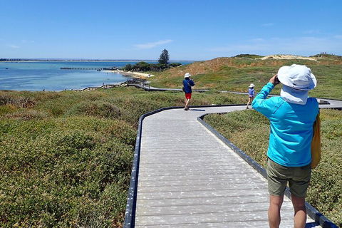 Penguin And Seal Islands Sea Kayaking Experience - Sunshine Coast Tourism 1