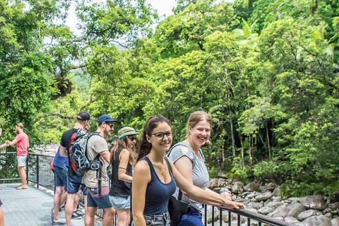 Cape Tribulation, Mossman Gorge, And Daintree Rainforest Day Trip From Cairns Or Port Douglas - Sunshine Coast Tourism 0