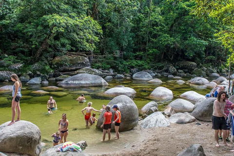 Cape Tribulation, Mossman Gorge, And Daintree Rainforest Day Trip From Cairns Or Port Douglas - Sunshine Coast Tourism 1