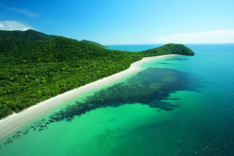 Cape Tribulation, Mossman Gorge, And Daintree Rainforest Day Trip From Cairns Or Port Douglas - Sunshine Coast Tourism 2