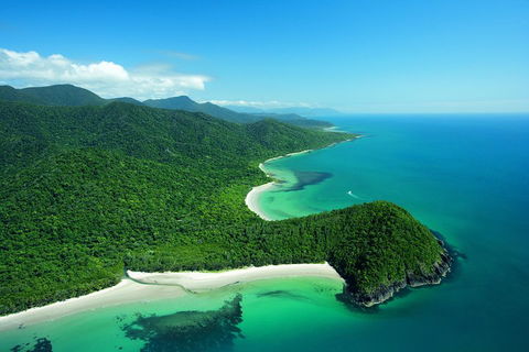 Double Pack-Ancient Rainforest And Waterfalls! - Sunshine Coast Tourism 1