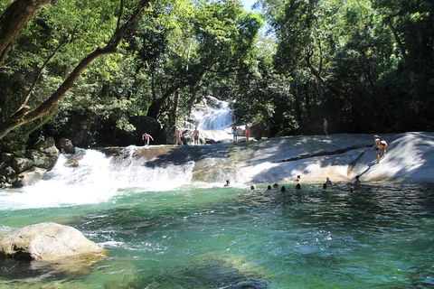 Double Pack-Ancient Rainforest And Waterfalls! - Sunshine Coast Tourism 2