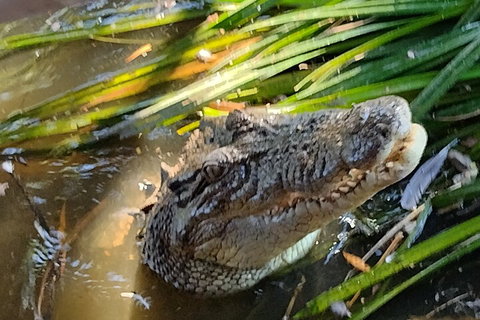 Litchfield Park Adventures And Jumping Crocodile Cruise + Butterfly Farm - Holiday Sunshine Coast 4