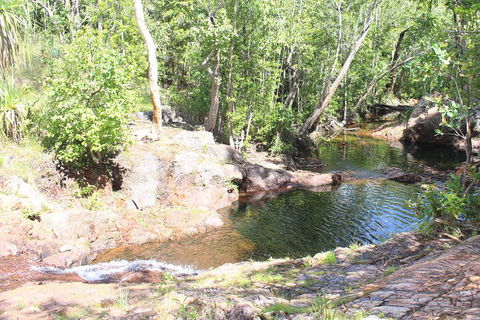 Jumping Crocodile Cruise And Berry Springs Nature Park - Holiday Sunshine Coast 3