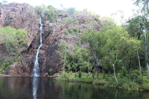 Jumping Crocodile Cruise And Berry Springs Nature Park - Holiday Sunshine Coast 5