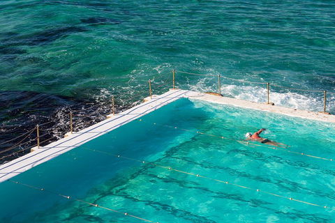 Small Group Essential Sydney Tour Including Lunch - Sunshine Coast Tourism 5