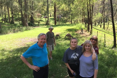 Small Group Blue Mountains Day Tour From Sydney - Holiday Sunshine Coast 1