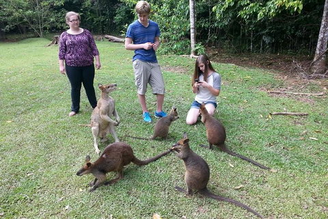 Small Group Blue Mountains Day Tour From Sydney - Holiday Sunshine Coast 2