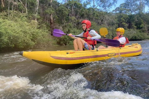Yarra River Half-Day Rafting Experience - Sunshine Coast Tourism 1