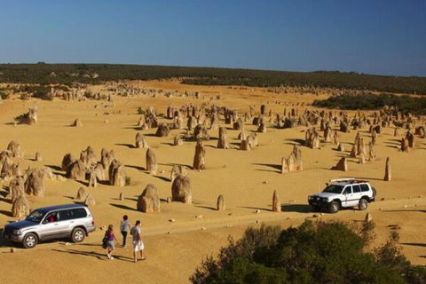1-Day Pinnacles And Yanchep Tour From Perth Including Fish And Chips Lunch - Sunshine Coast Tourism 0