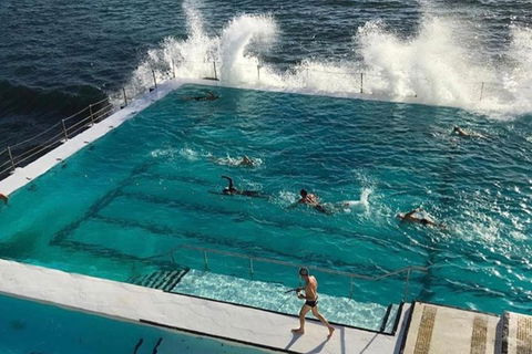 Sydney Private Tour And Sip And Sail Experience - Sunshine Coast Tourism 3