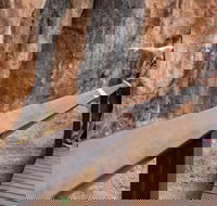 Chillagoe Caves and Outback Day Trip from Cairns - Sunshine Coast Tourism