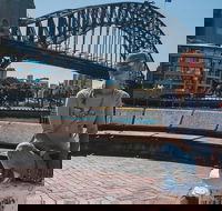 The Rocks  Darling Harbour With A Local Private  Personalized - Sunshine Coast Tourism