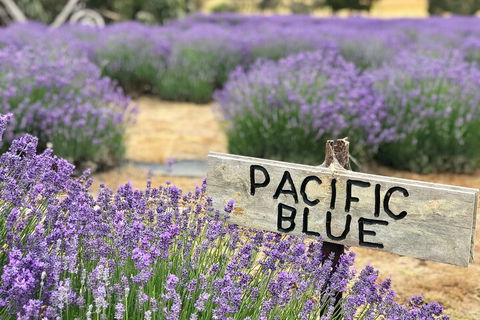 Kangaroo Island Half Day Food And Wine Trail Tour - Sunshine Coast Tourism 5