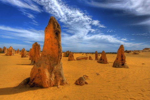 Pinnacles Desert & New Norcia Day Tour From Perth - Sunshine Coast Tourism 0
