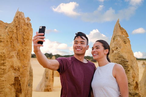 Pinnacles Desert, Koalas And Sandboarding 4WD Day Tour From Perth - Sunshine Coast Tourism 4