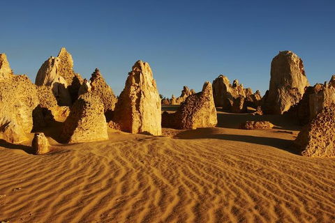Full Day Pinnacle Desert Explorer From Perth Including Hillarys And Lancelin Sandboarding - Holiday Sunshine Coast 3