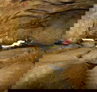 2-Day Wave Rock York Wildflowers  Aboriginal Experience - Sunshine Coast Tourism