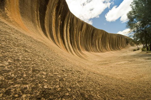 Wave Rock, York, Wildflowers, And Aboriginal Cultural Day Tour From Perth - Holiday Sunshine Coast 0