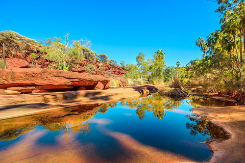 7-Day Guided Tour Of Alice Springs With Accommodation Included - Sunshine Coast Tourism 1