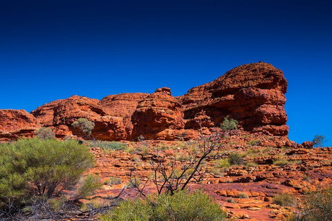 7-Day Guided Tour Of Alice Springs With Accommodation Included - Sunshine Coast Tourism 4