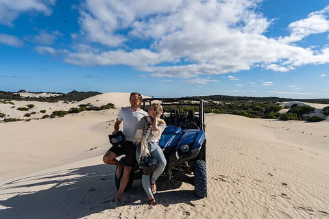 Small-Group Buggy Tour At Little Sahara With Guide - Sunshine Coast Tourism 2