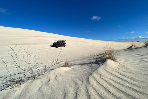Small-Group Buggy Tour At Little Sahara With Guide - Sunshine Coast Tourism 3