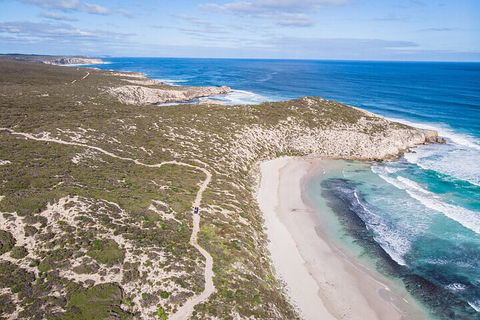 Small-Group Buggy Tour At Little Sahara With Guide - Sunshine Coast Tourism 4