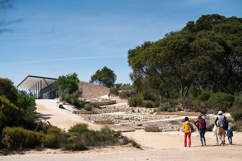 2-Hour Koala Walking Tour In Kangaroo Island - Sunshine Coast Tourism 3