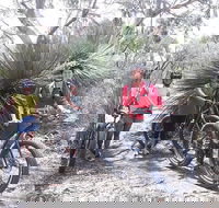 2 Hour Bike Tour in Kangaroo Island - Sunshine Coast Tourism