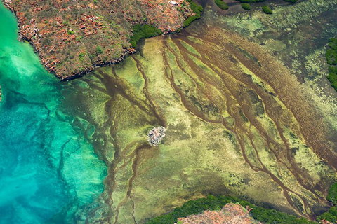 Fly The Falls Tour - Sunshine Coast Tourism 0