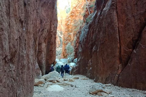 West MacDonnell Private Tour With Transfer - Holiday Sunshine Coast 0
