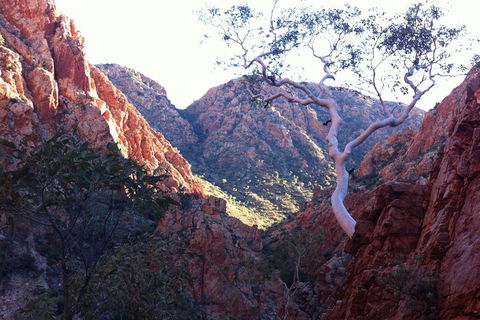 West MacDonnell Private Tour With Transfer - Holiday Sunshine Coast 3