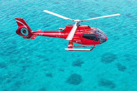 Port Douglas Scenic Flights - Sunshine Coast Tourism 2